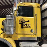 Big Tree Truck vinyl